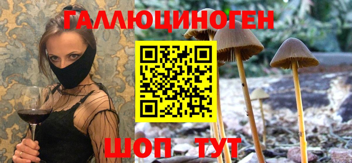 Псилоцибиновые грибы Psilocybine cubensis  Вход с VPN  Георгиевск 