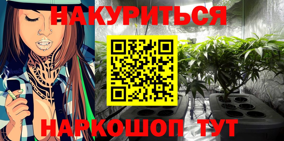 Конопля тримм  Вход с VPN  Марихуана марихуана  Георгиевск  Бошки марихуана тримм 